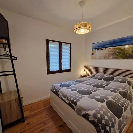 Maison 6 Pers Evasion Landaise Proche Et A Cote Du