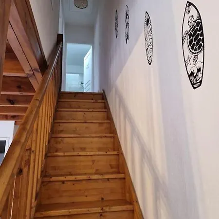 Maison 6 Pers Evasion Landaise Proche Et A Cote Du Semesterbostad